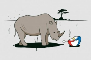 Sad Rhino